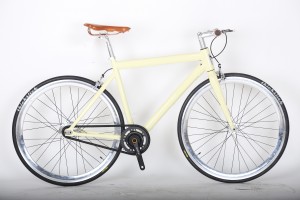 Electric Single Speed Road Bike E7001C