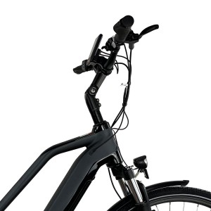 Bafang Central 250W Motor Electric City Bike With Rack For Lady M200L