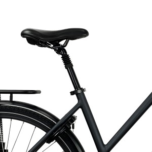 Bafang Central 250W Motor Electric City Bike With Rack For Lady M200L