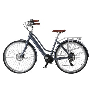 Electric Mid-drive City Bike With Rack For Lady CD007C