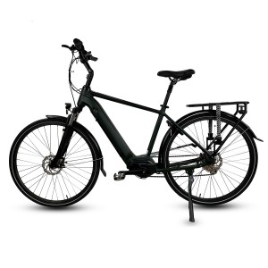 Bafang Central 250W Motor Electric City Bike With Rack For Men M200G