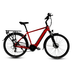 Bafang Central 250W Motor Electric City Bike With Rack M200G
