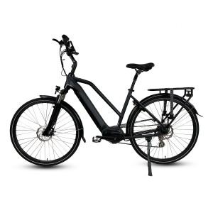 Bafang Central 250W Motor Electric City Bike With Rack For Lady M200L