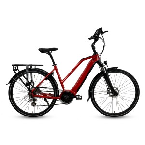 Bafang Central 250W Motor Electric City Bike With Rack For Lady M200L