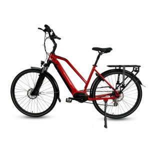 Bafang Central 250W Motor Electric City Bike With Rack For Lady M200L