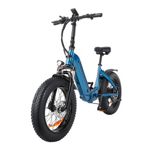 20 Inchi Electric City Fat Bike Snow Bike 7SP 500W for Lady