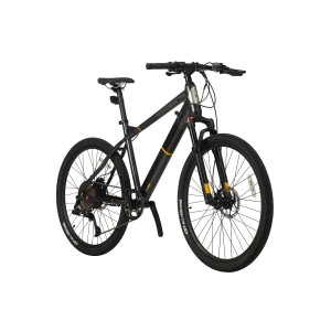 27.5” Electric Mountain Bike 250w 10SP Shock Absorber MTB1.0