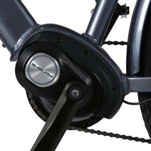 Electric Mid-drive City Bike With Rack For Lady CD007C