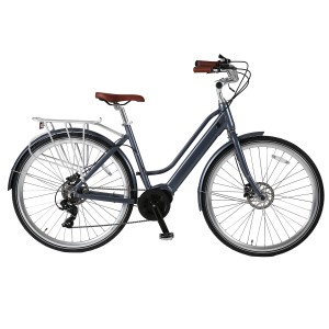 Electric Mid-drive City Bike With Rack For Lady CD007C